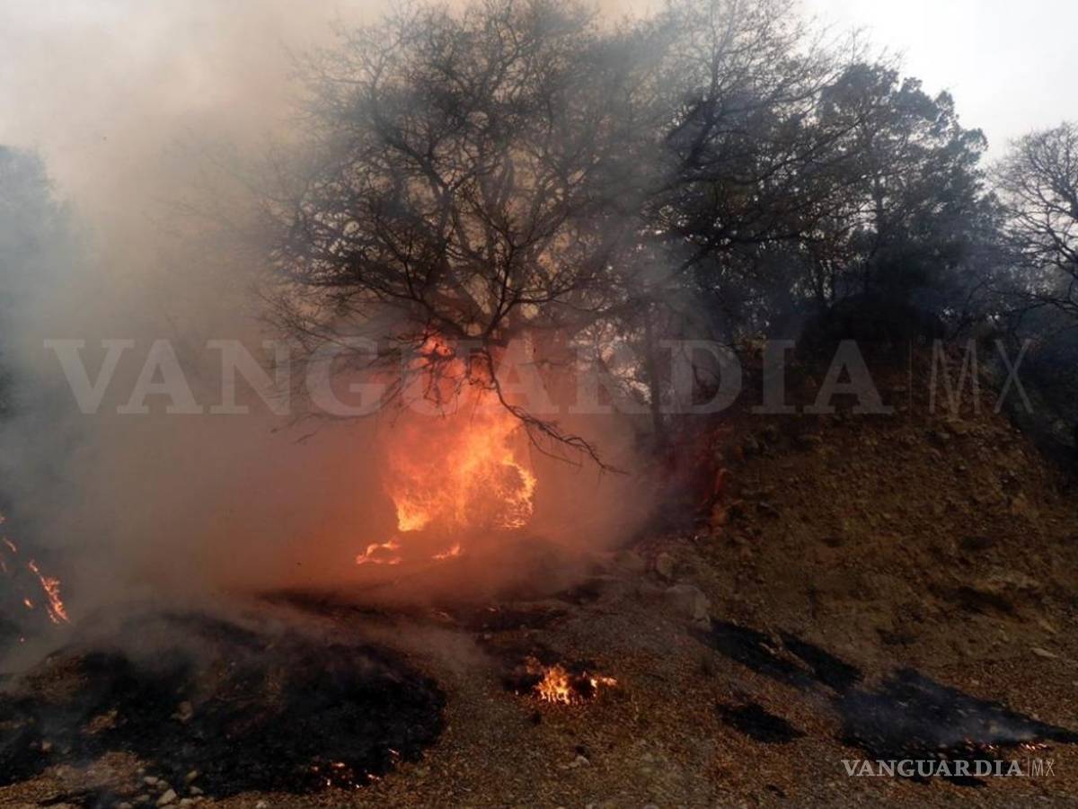 $!Tú puedes ayudar a los brigadistas que combaten el incendio en la sierra de Arteaga