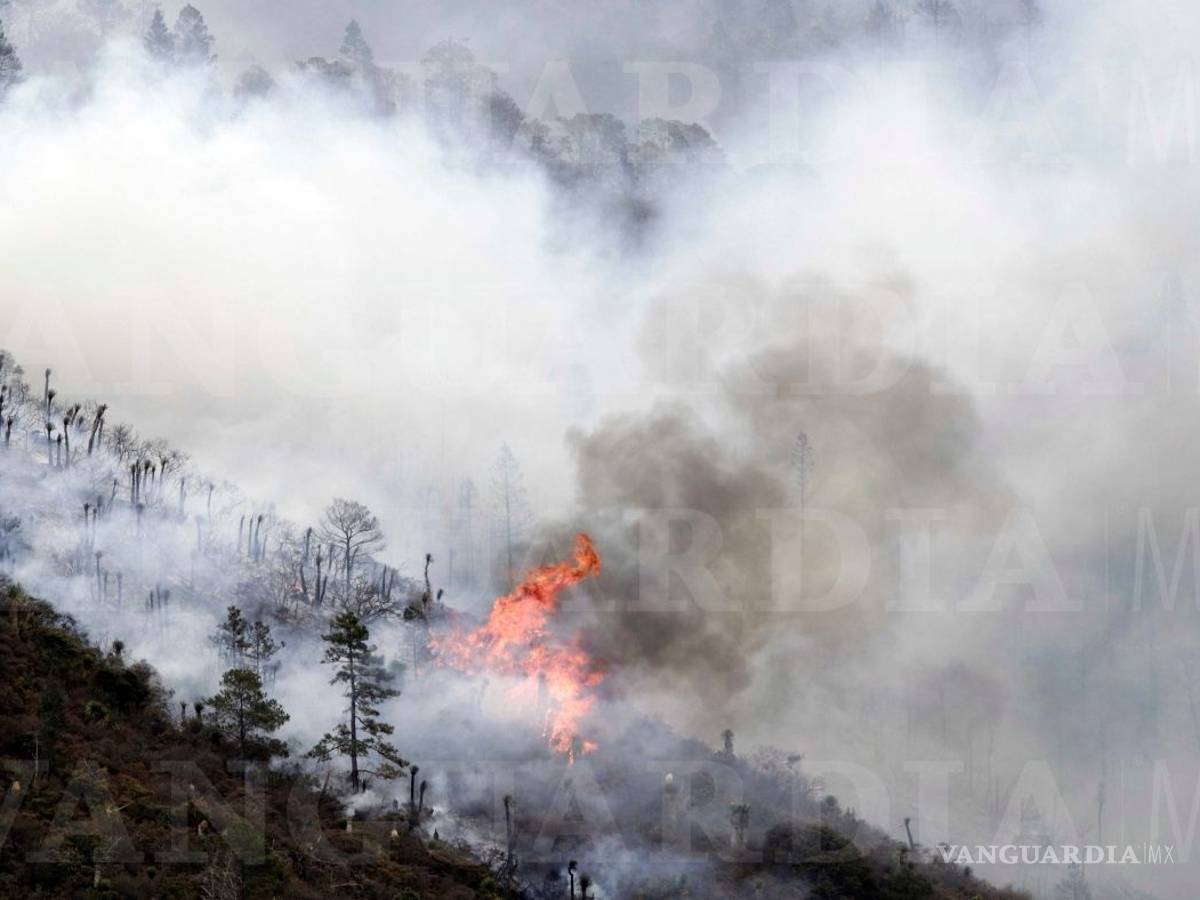 $!Incendio en La Pinalosa registra un 45% de control