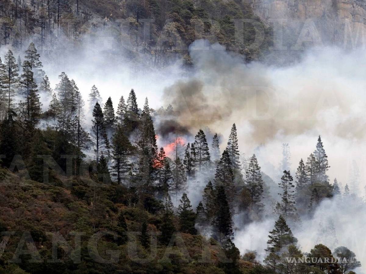 $!Incendio en La Pinalosa registra un 45% de control