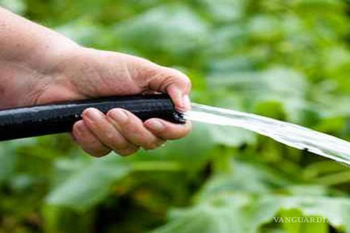 $!Evita el mal uso del agua con prácticas amigables con el ambiente