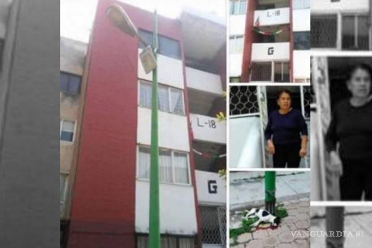 Detienen a mujer que arrojó a cachorro desde un quinto piso