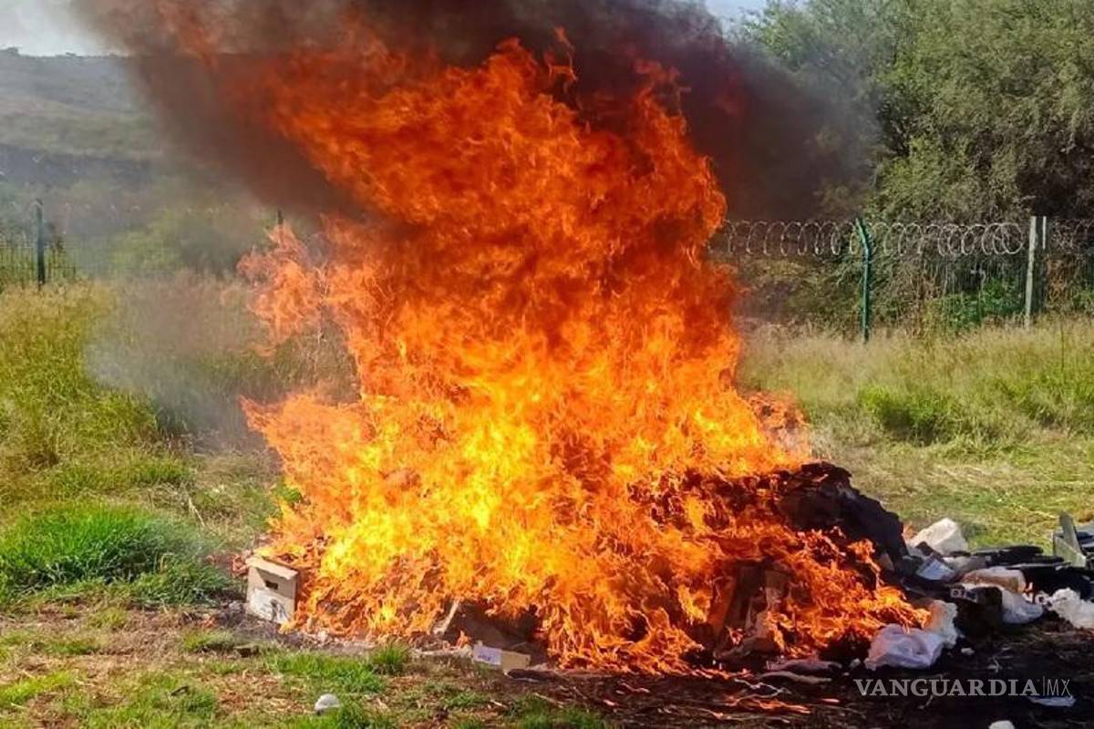 Queman cientos de kilos de droga y pastillas en Michoacán