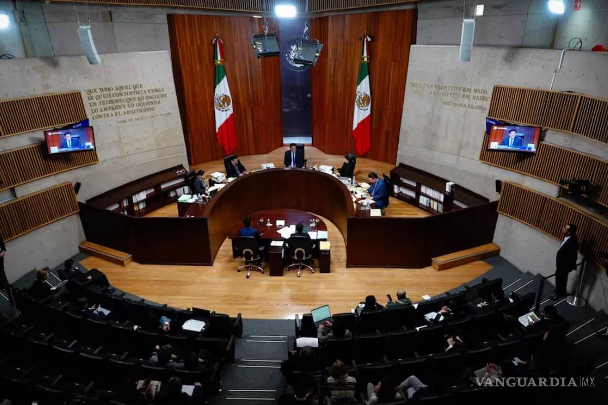 Más de 8 mil impugnaciones recibe el Tribunal Electoral contra la sobrerrepresentación