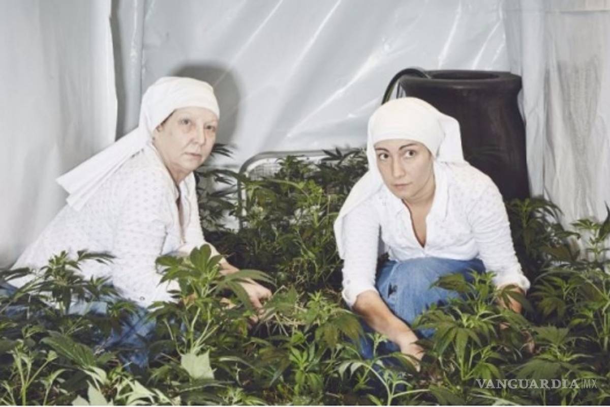 Monjas de California producen medicamentos a base de mariguana