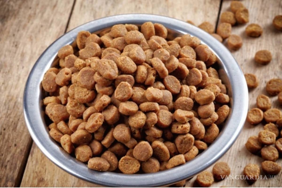 Alertan en Piedras Negras por croquetas anticonceptivas para mascotas