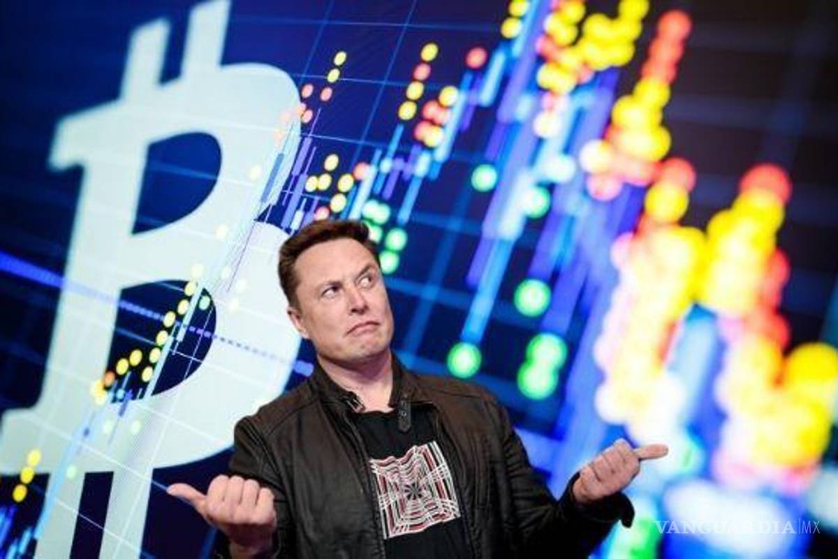 El ABC de las criptomonedas, ¿la economía del futuro?; una opción en las nuevas tecnologías