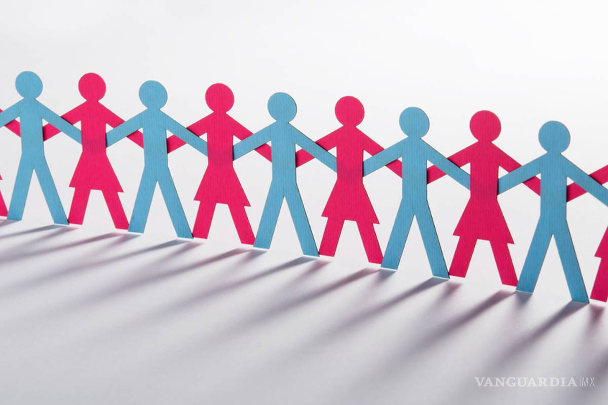 Trife expide bases para garantizar la equidad de género