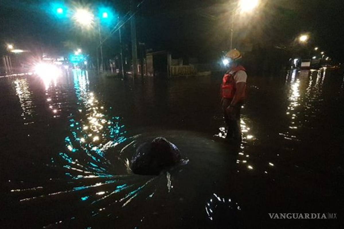 $!Fuertes lluvias dejan en Monterrey lesionados e inundaciones