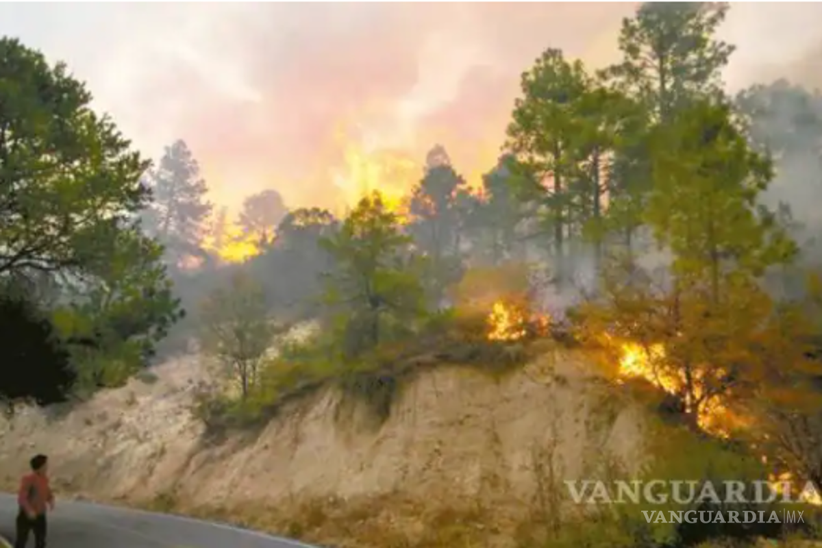 Incuantificable aún daños en la Pinalosa; tendrán que analizar antecedentes para reparar daños