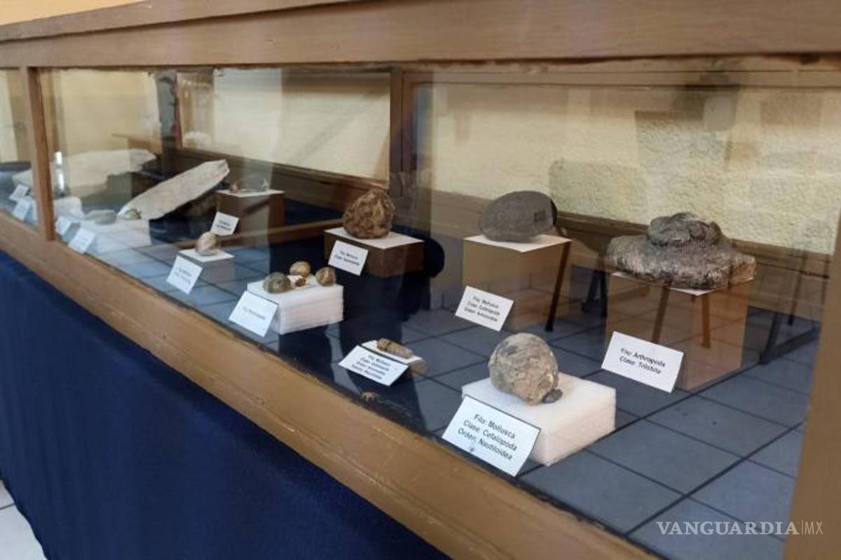 $!“La paleontología es un mundo muy hermoso y del cual se pueden aprender muchas cosas. Yo he dedicado toda mi vida a esto y me alegra hacerlo”, concluyó la doctora.