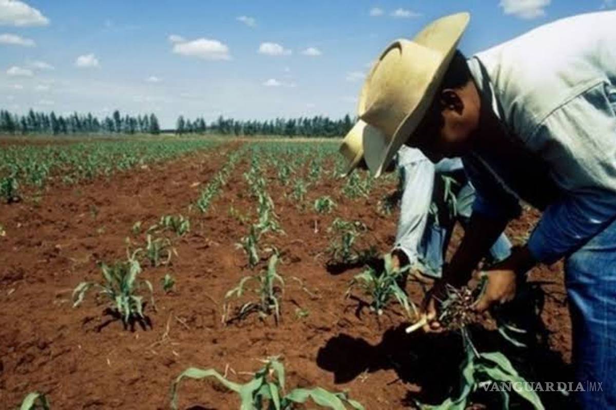 Reclaman productores agrícolas a Gobierno Federal por ‘falsas promesas’ en Acuña
