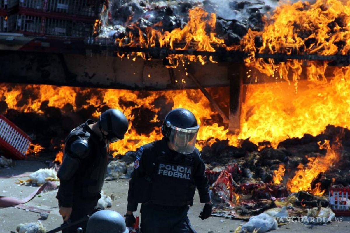 No se criminalizará a víctimas de Nochixtlán: Roberto Campa