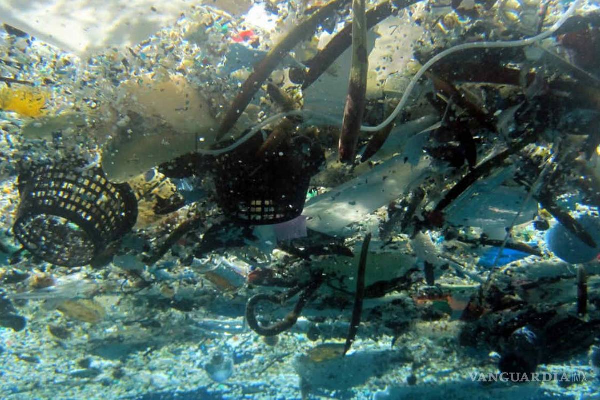 Microplásticos y sobrepesca constituyen amenazas más graves para los océanos