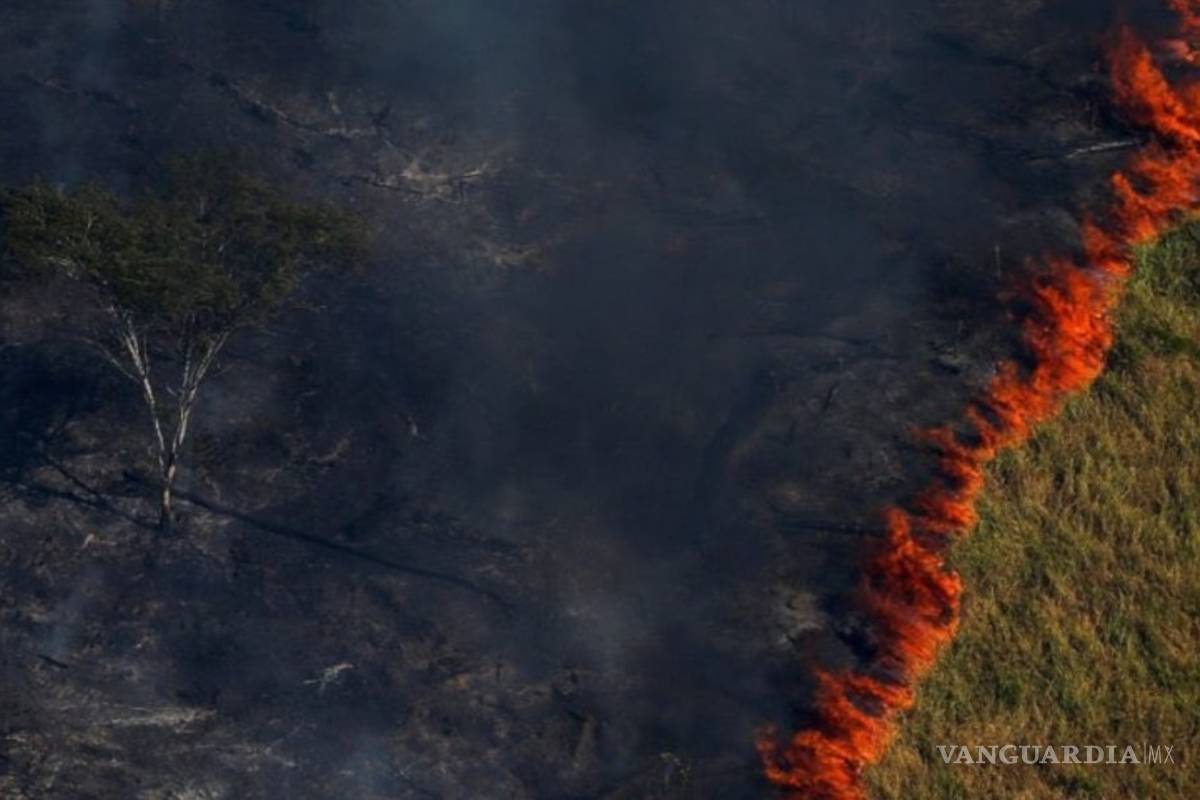 Devastadores incendios continúan avanzando en la Amazonia y Bolivia (EN VIVO)