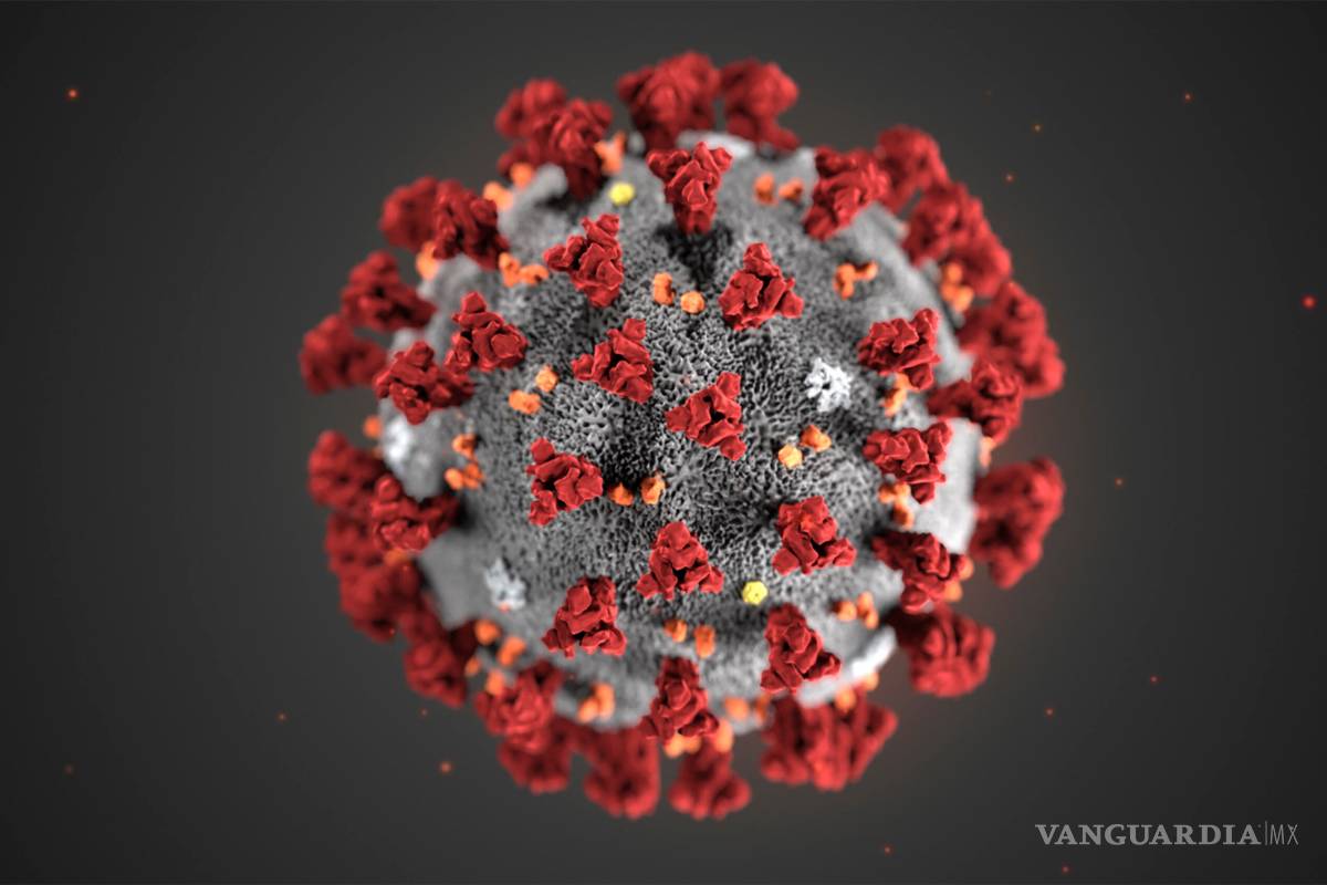 Coronavirus está activo de tres horas a tres días: estudio de la UAM
