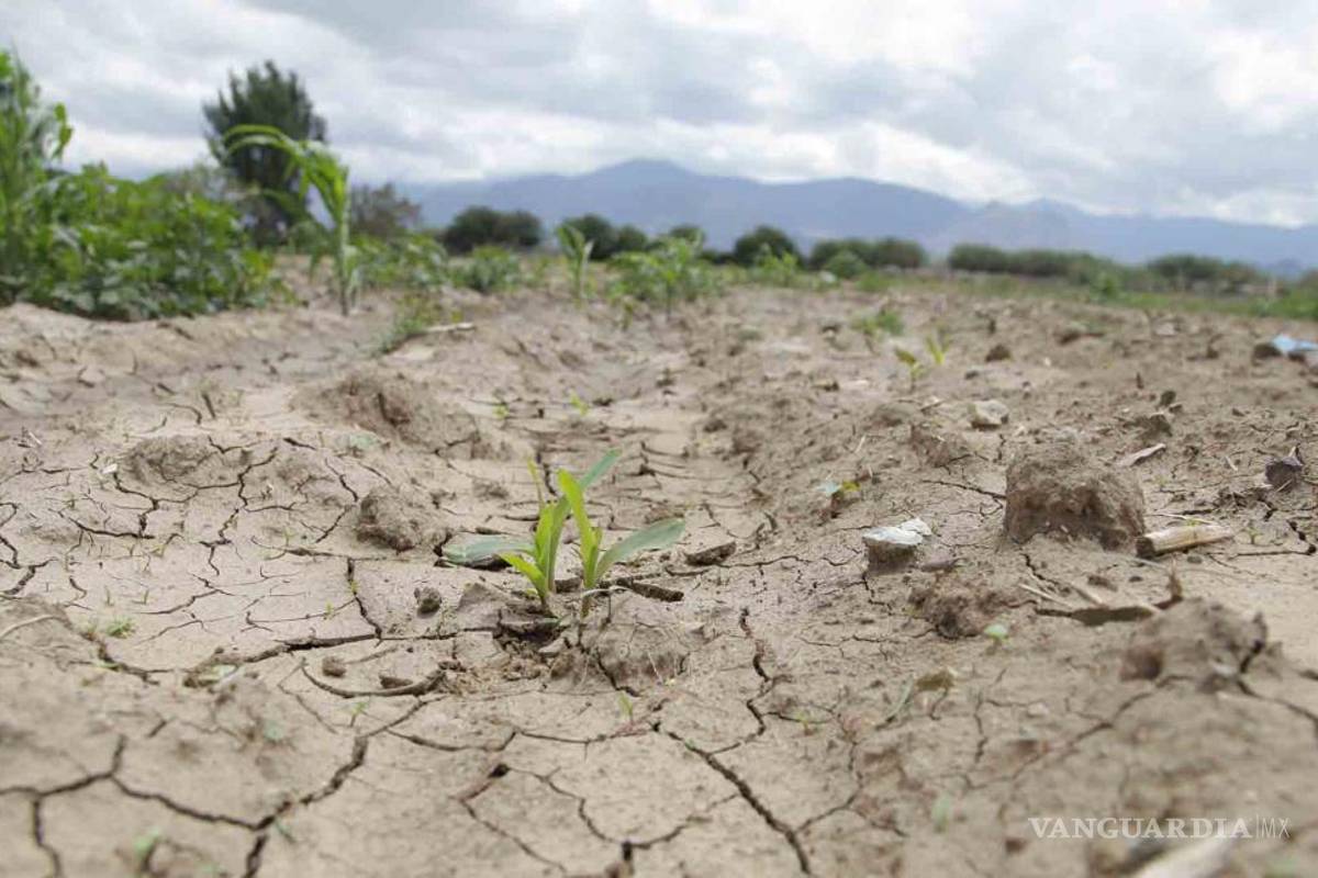 Istmo de Tehuantepec sufre una sequía severa