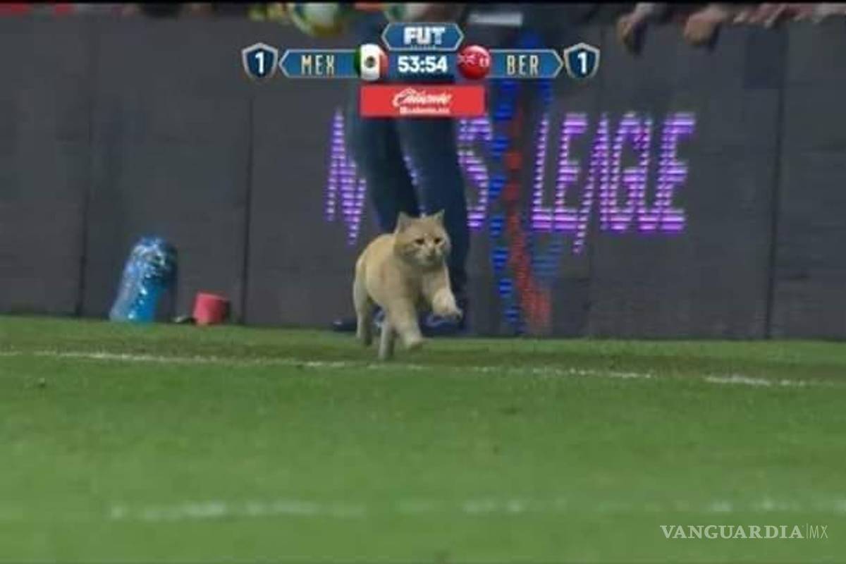 'Choricito' se lleva los reflectores en el México ante Bermudas