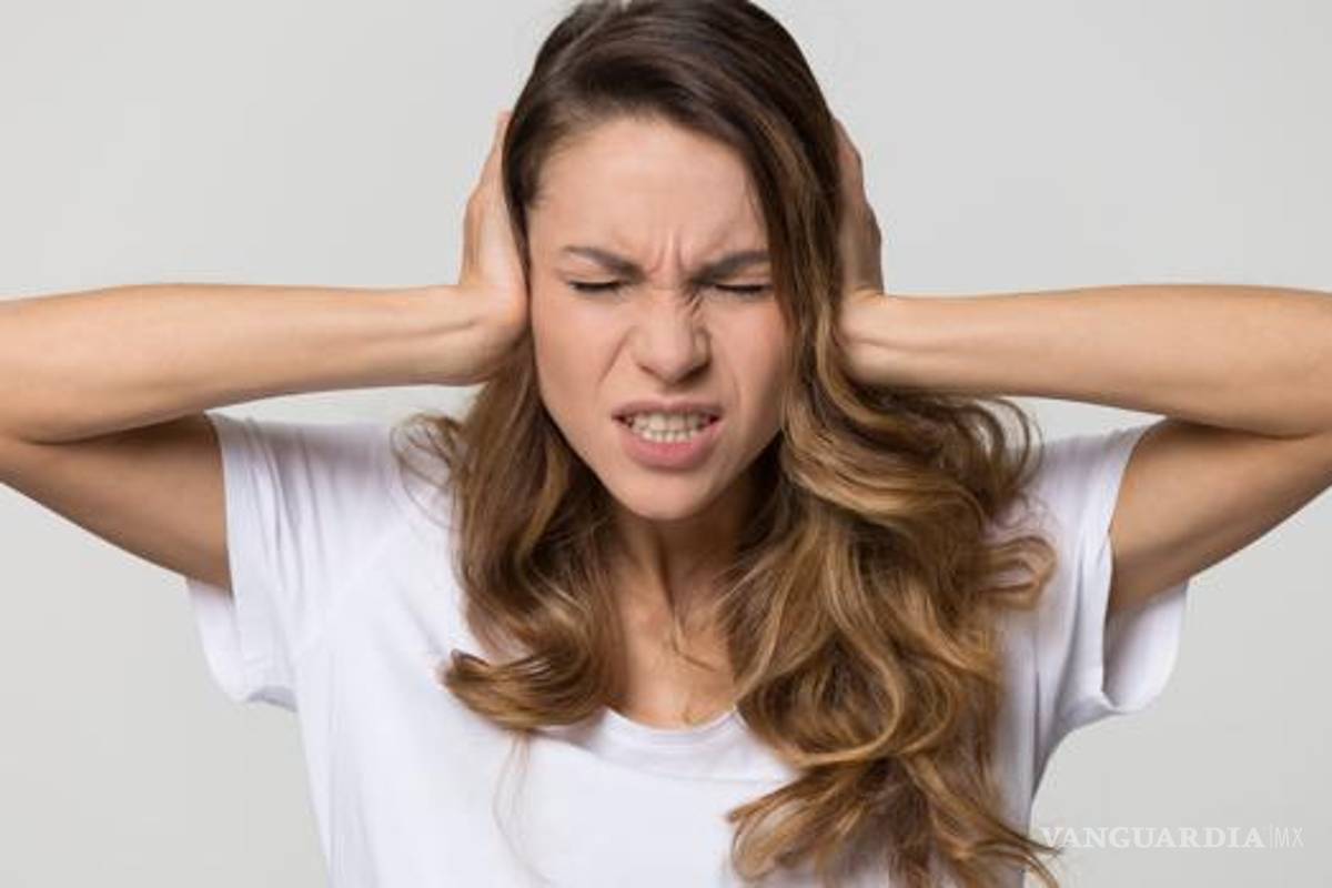 Proponen ejércitos contra el ruido en Coahuila