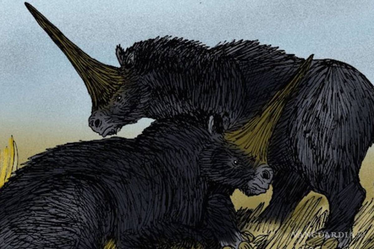 Estudio revela que los unicornios de hace 26 mil años se parecían más a los rinocerontes