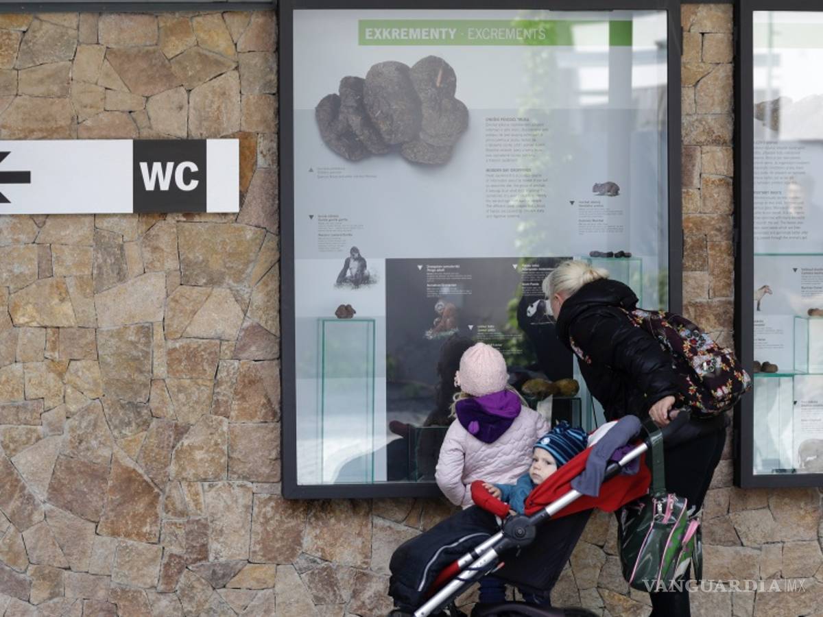 $!Un zoológico en Praga inaugura una exposición sobre el excremento animal