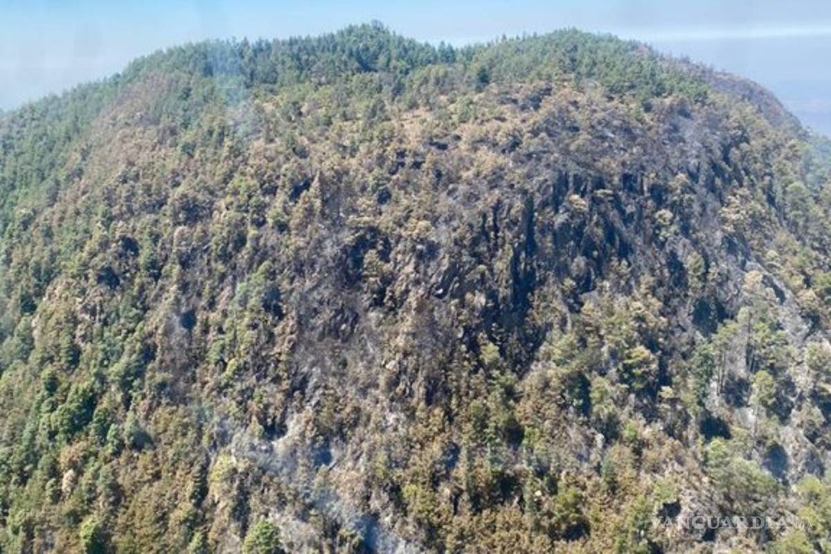 $!Incendio acabó con 100 hectáreas de Biosfera de la Mariposa Monarca