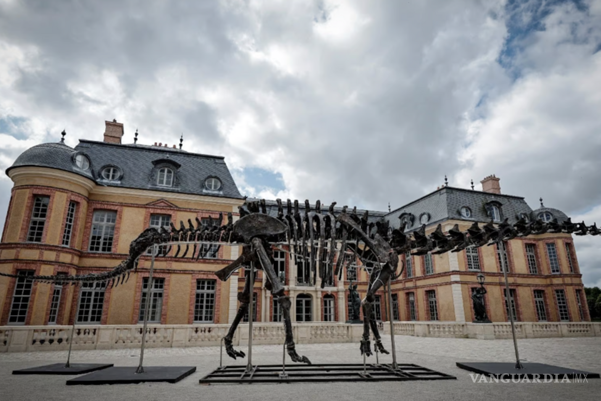 ¡Pero qué grandote! Subastan monumental esqueleto de dinosaurio en 6 millones de euros