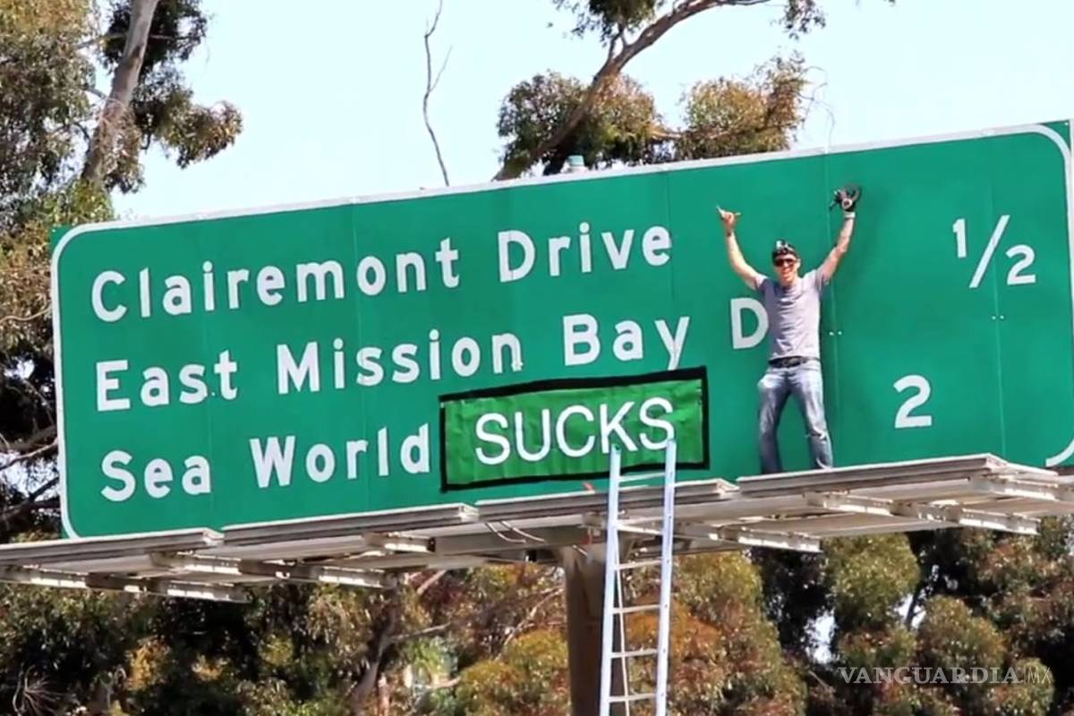 Steve-O, astro de "Jackass" escala un letrero en Hollywood, lo detienen