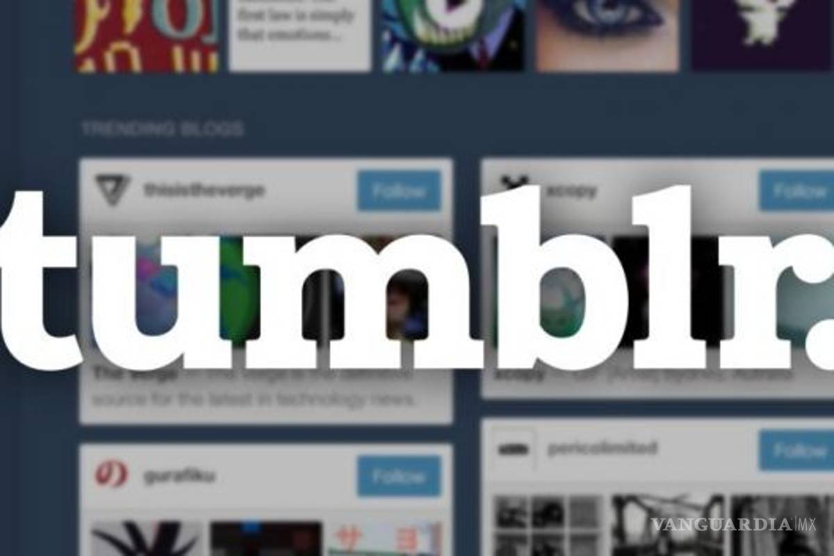 Tumblr le dice adiós al porno, a sus usuarios no les gustó esto