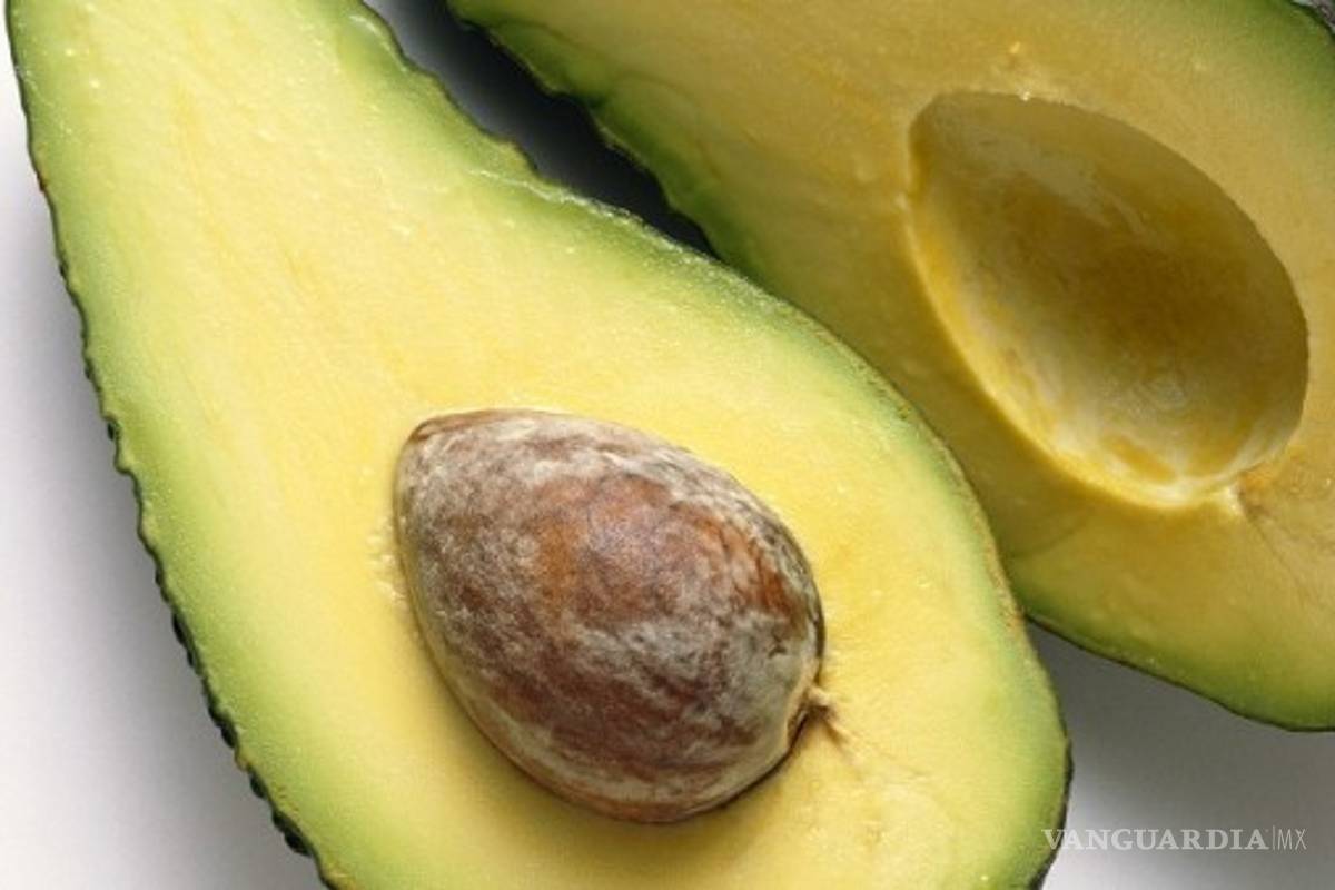 Científicos mexicanos logran descifrar la secuencia genómica del aguacate