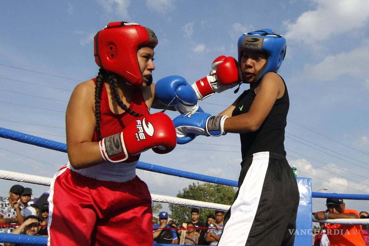 Auténticos Novatos vuelven al cuadrilátero ahora en la Valencia