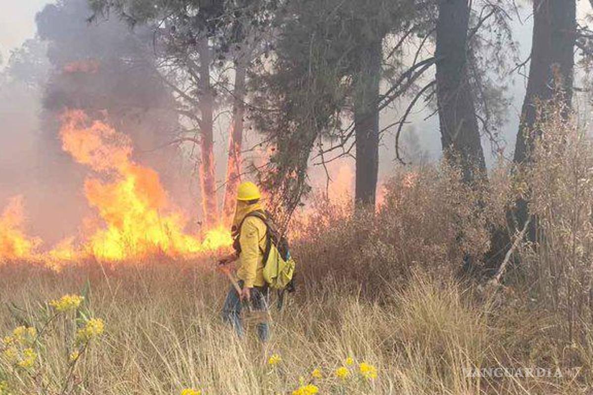 Aumentan los incendios forestales en el país, Conafor reporta casi 200