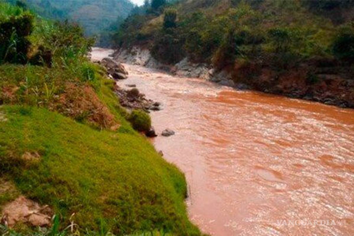 Por no respetar la cuarentena terminó devorado por un cocodrilo