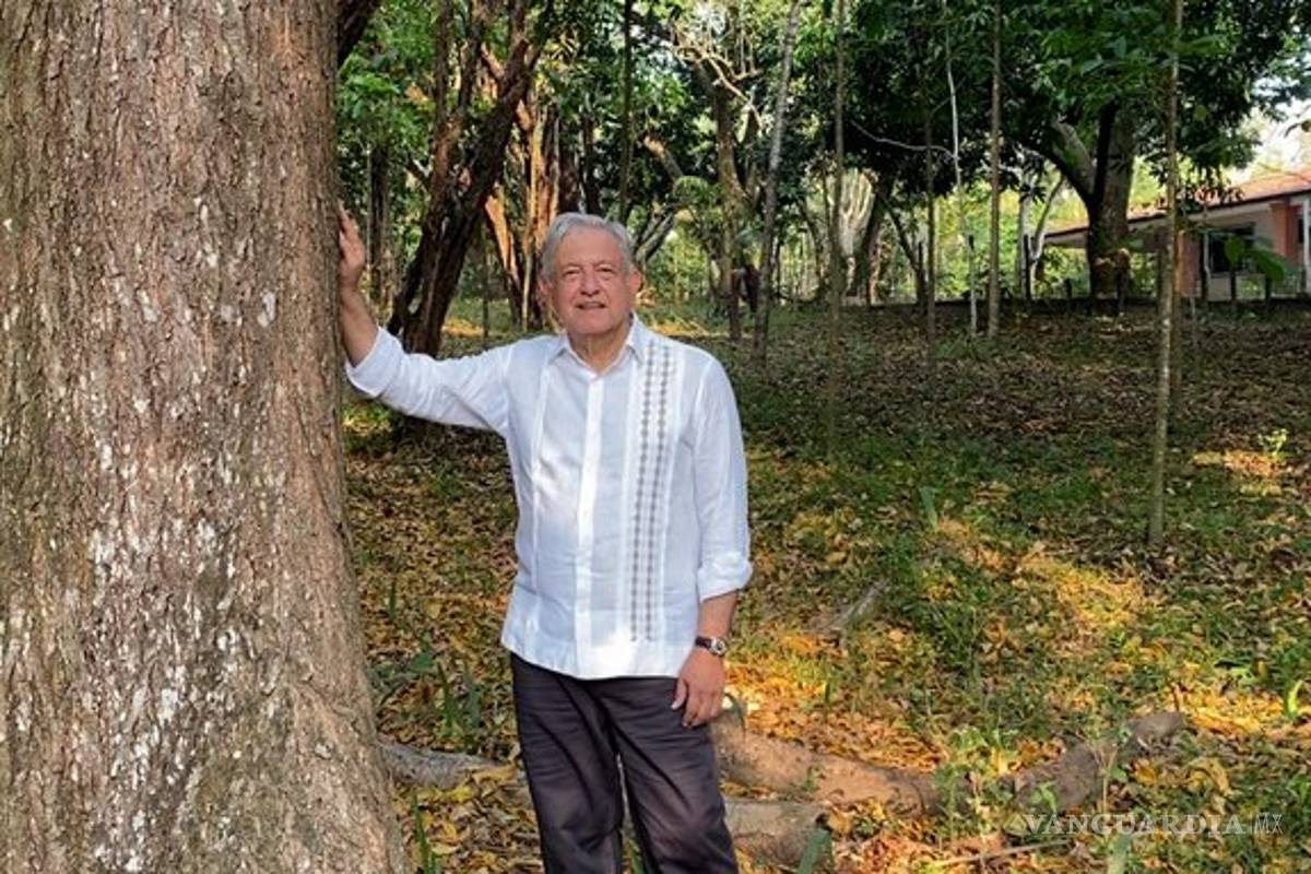 AMLO propondrá a Biden extender 'Sembrando Vida' a Centroamérica para frenar el flujo migratorio