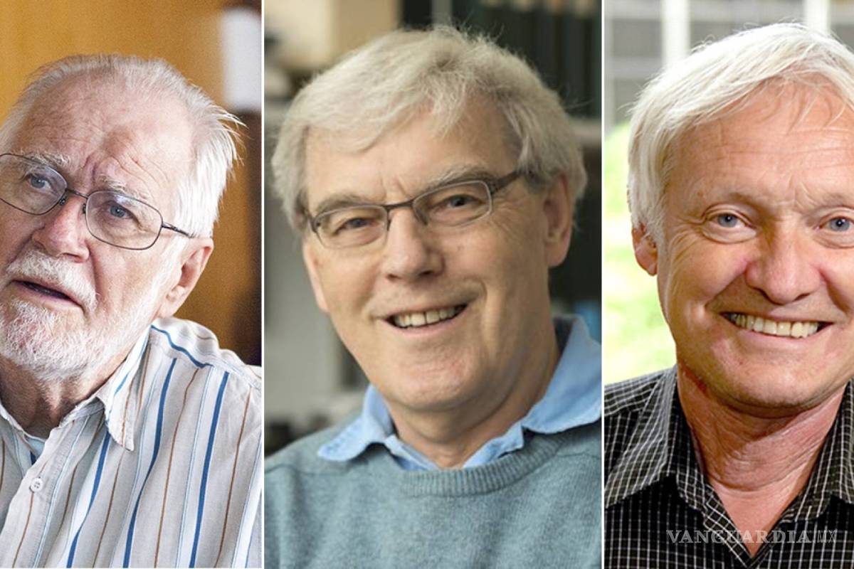 Premio Nobel de Química a un método para observar la vida privada de las moléculas