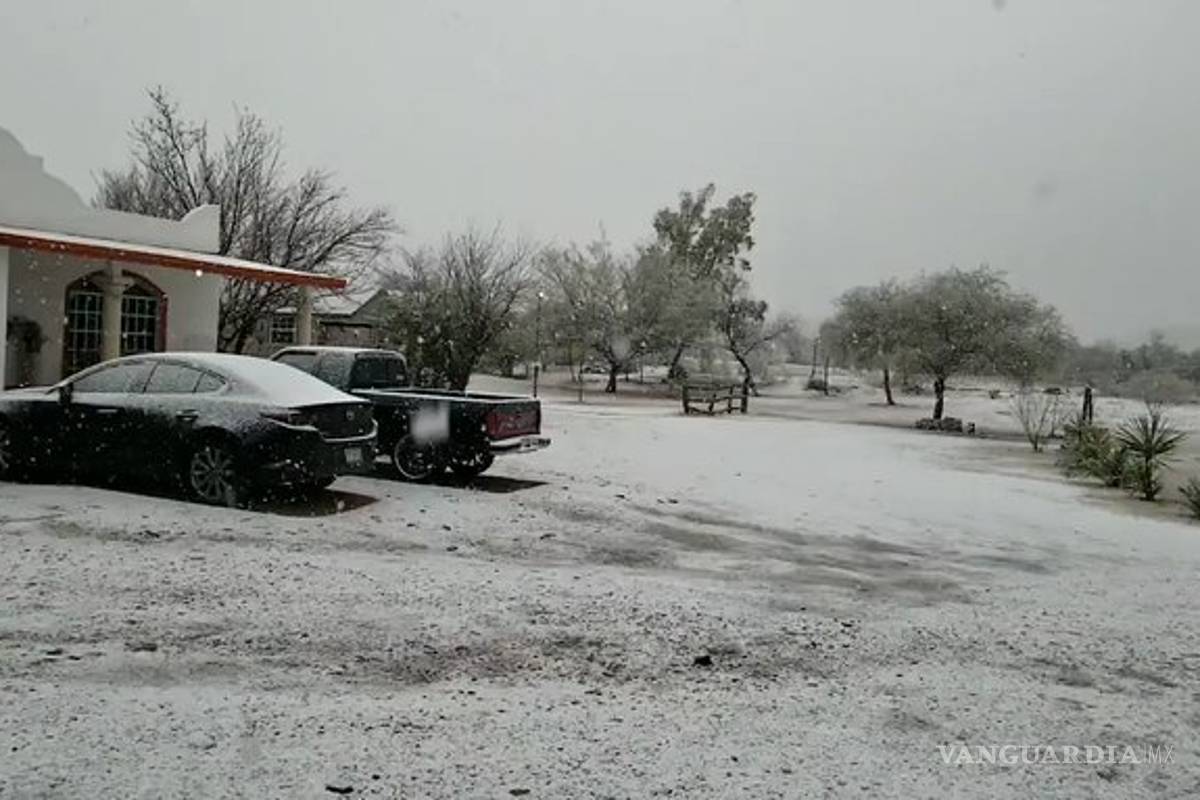 Sierra de Múzquiz se pinta de blanco por tormenta invernal
