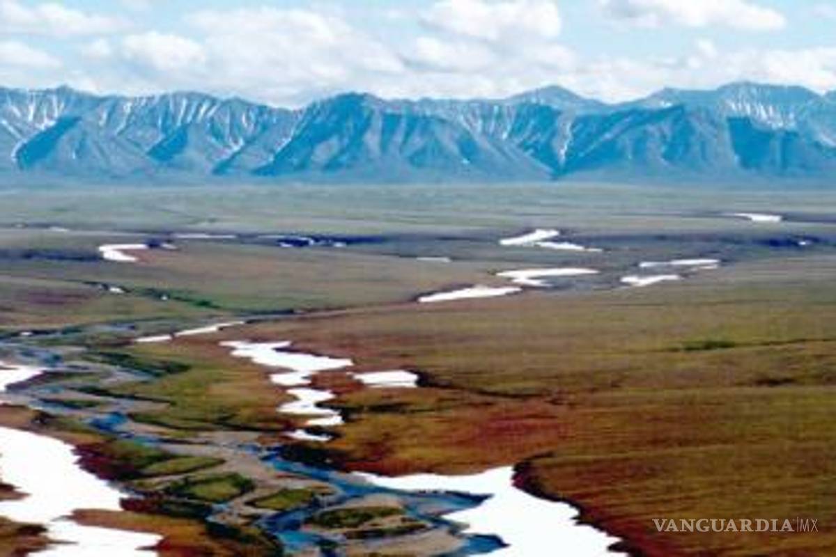 Biden suspende perforaciones en refugio de vida silvestre del Ártico