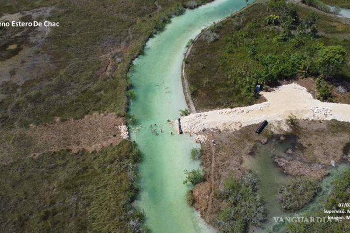 Fue un error relleno del humedal Estero de Chac, por donde pasará Tren Maya; reconoce Sedena