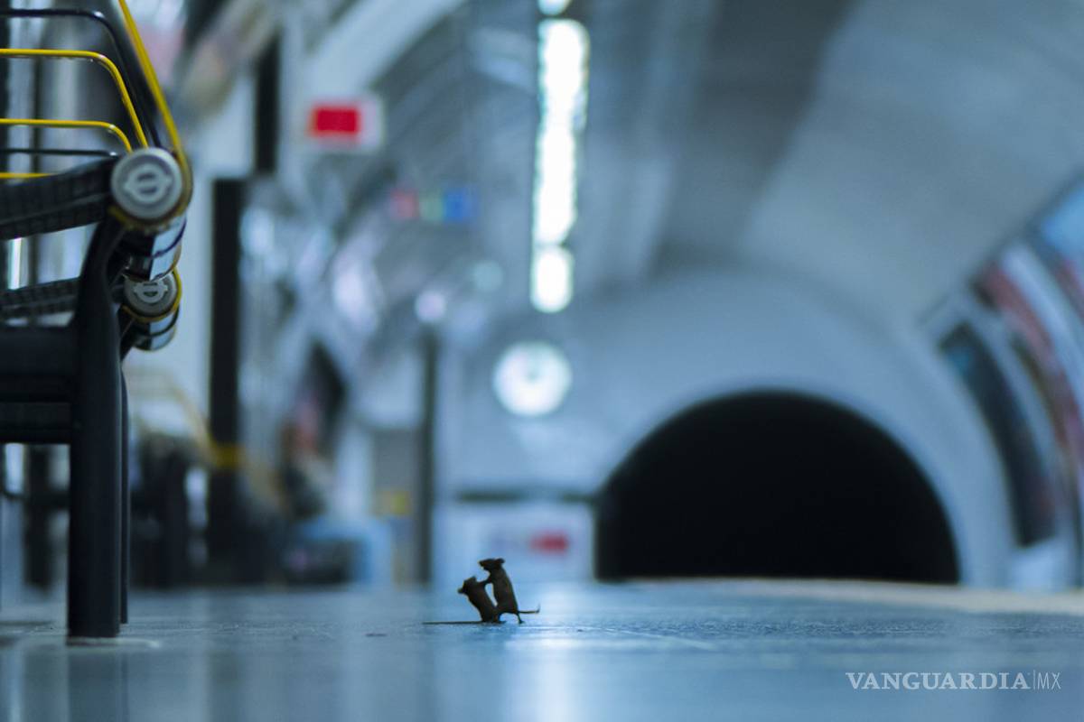 Premian impactante fotografía de dos ratones que luchan por unas migas en el metro de Londres