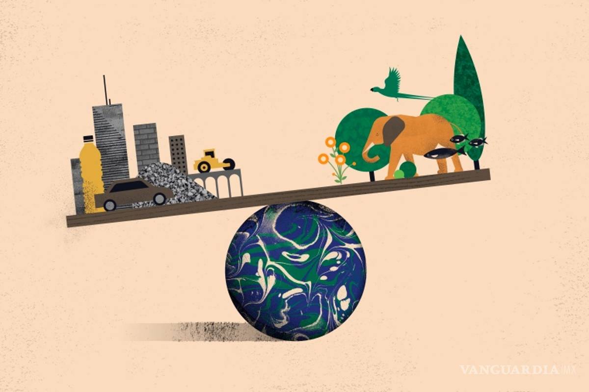 En el 2021 habrá mas edificios que árboles, según el Instituto Weizmann de Ciencias