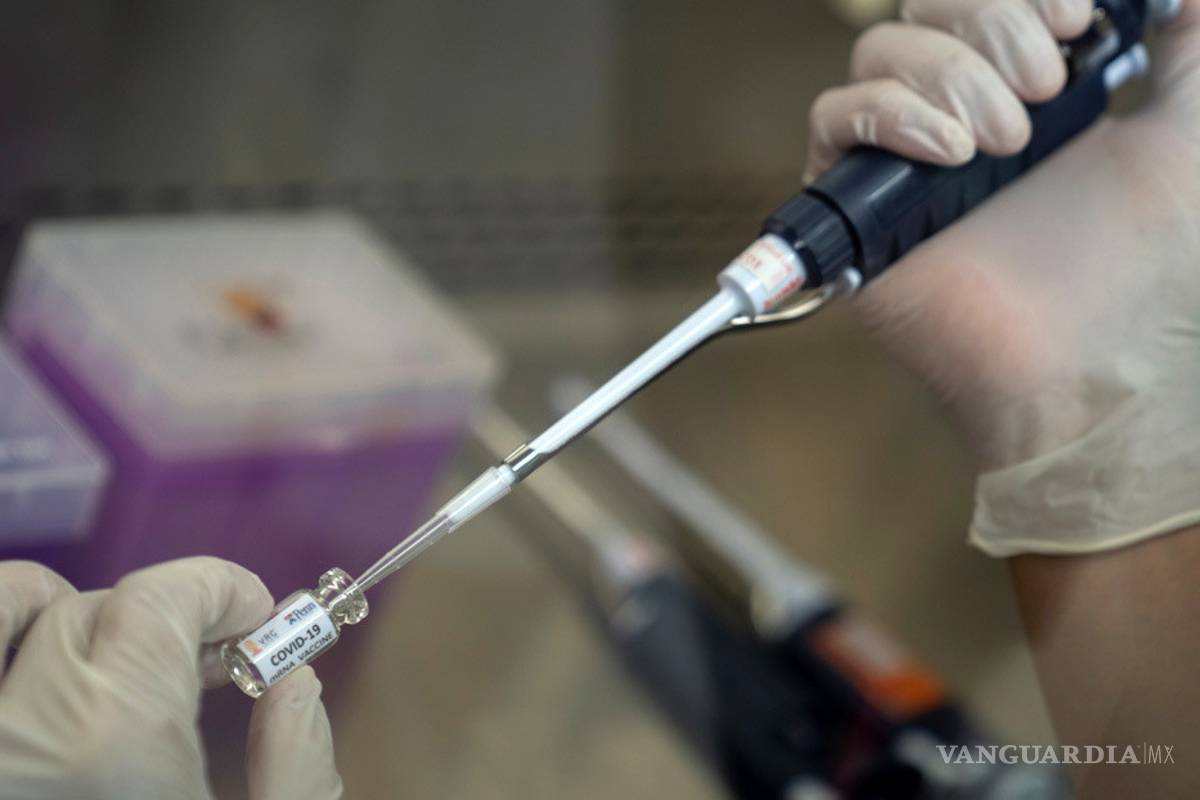 Coronavirus usa la misma táctica que el VIH para esquivar la respuesta inmune