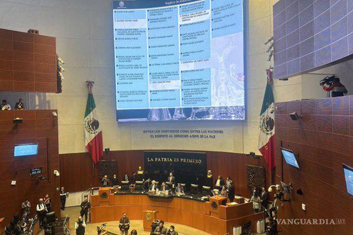 Ley 3 de 3 ya es constitucional; agresores, deudores alimentarios o culpables de violencia de género no podrán ser electos o funcionarios