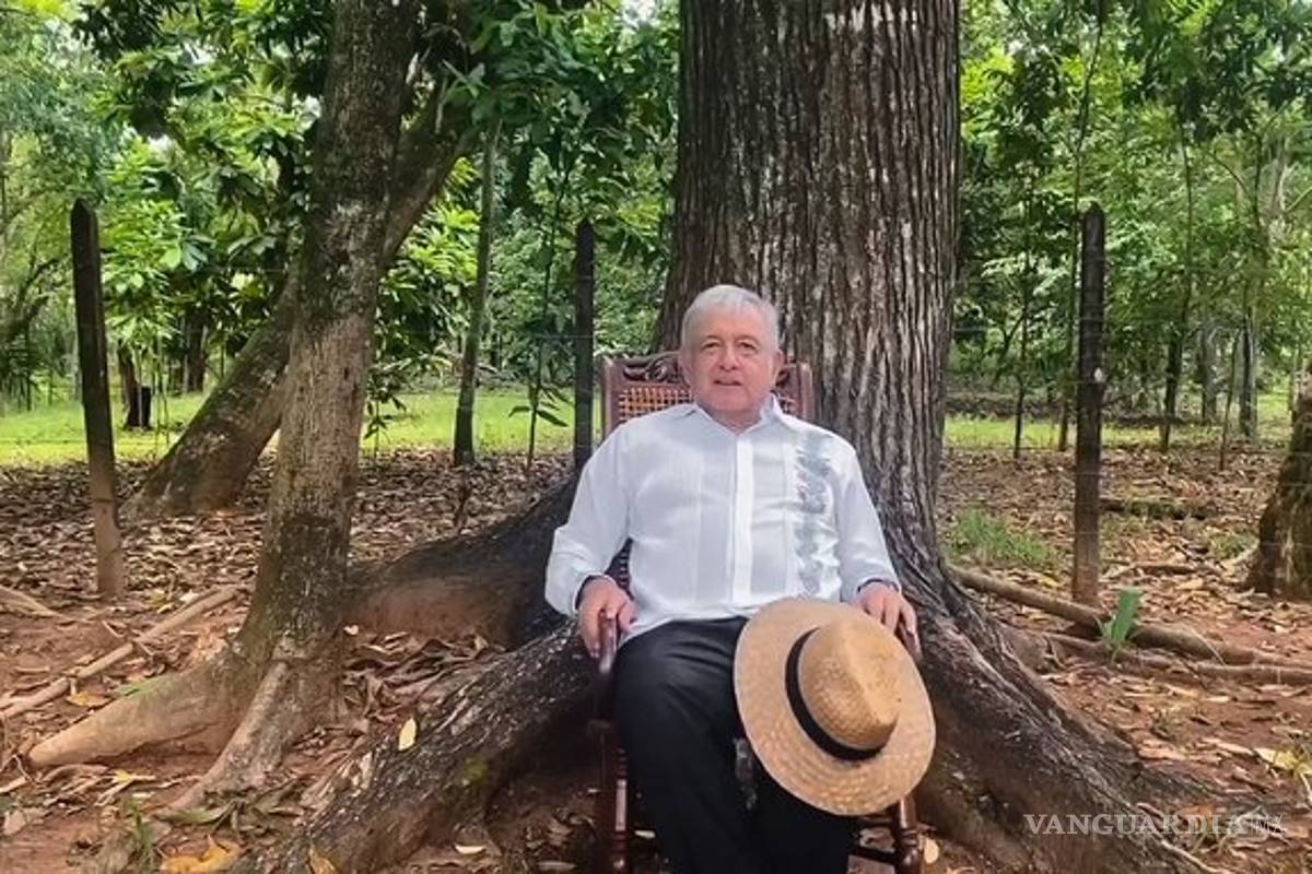 Que México Libre no lograra registro es un triunfo para el pueblo: AMLO