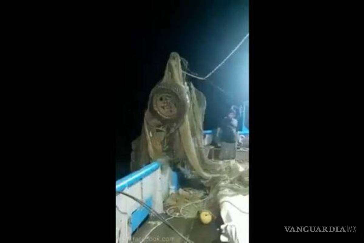 Pensaban que eran camarones; barco pesca un auto en Mazatlán (video)