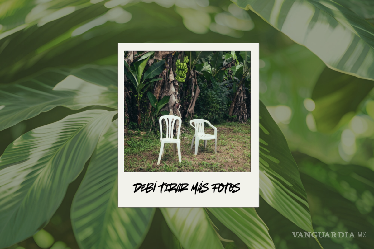 Los mejores álbumes de 2025