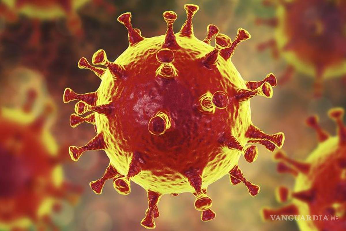 Descubren que el coronavirus se puede curar con medicamento de origen cubano