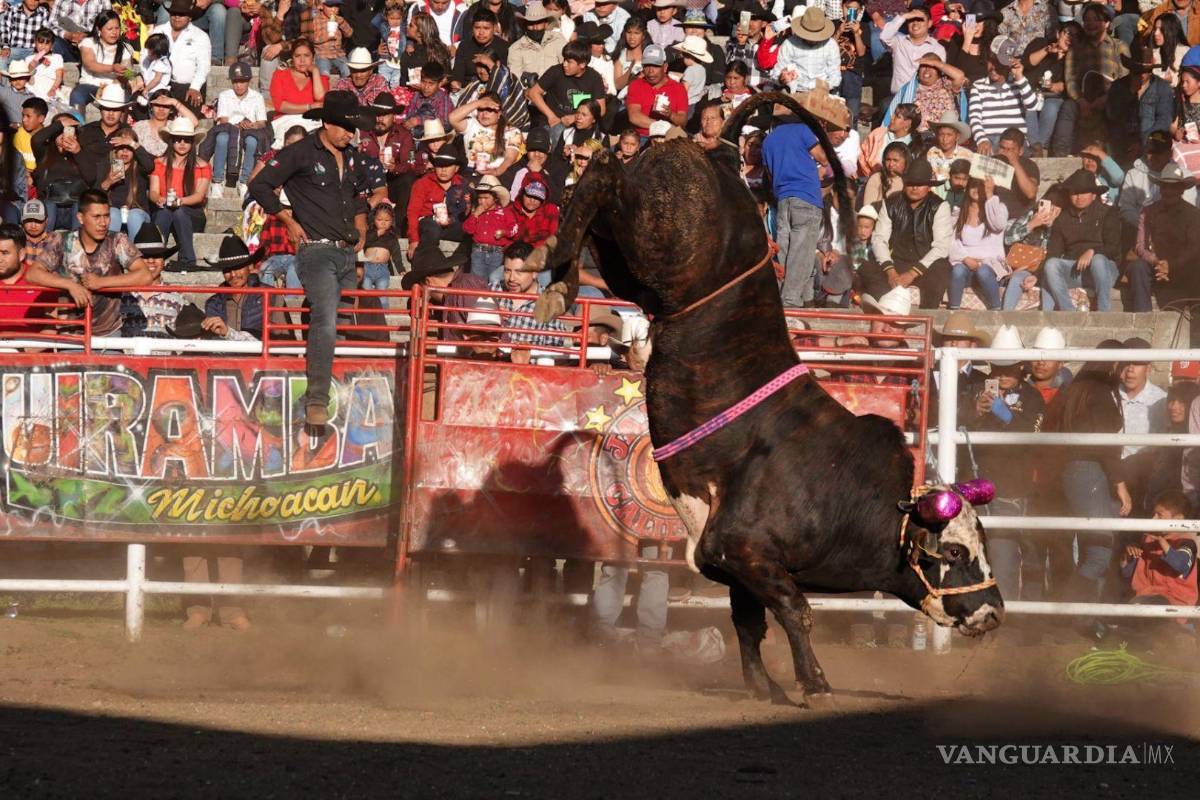 ¡Oootra vez! Jueza de distrito suspendió de forma temporal las corridas de toros en Plaza México