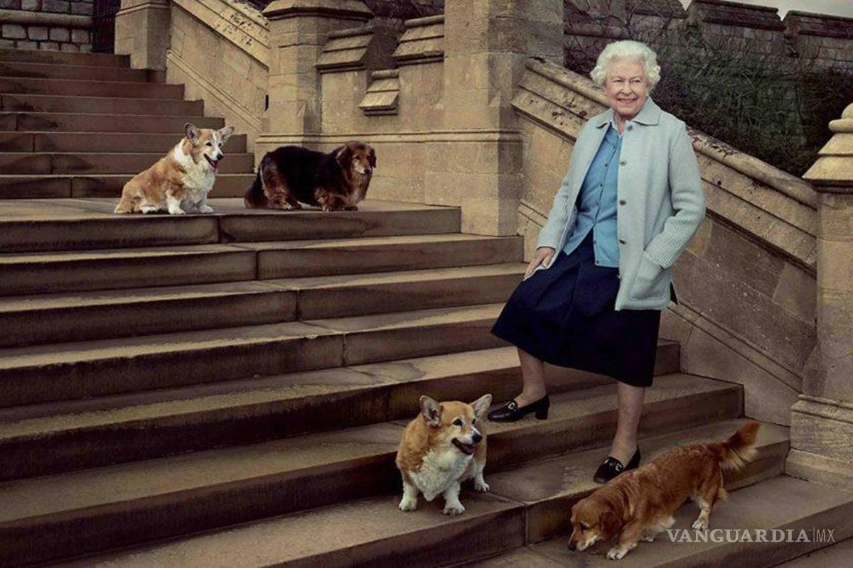 ¿Qué sucederá con los perritos de la Reina Isabel II, tras su fallecimiento?