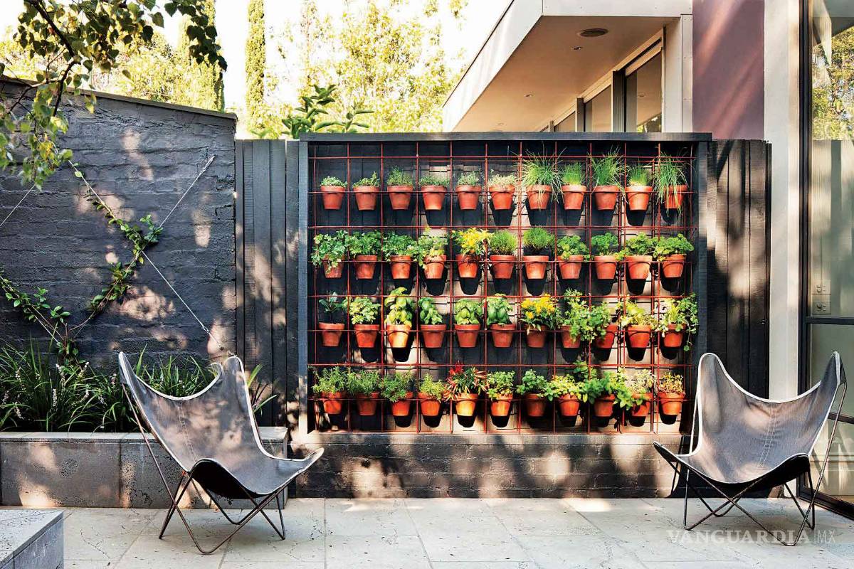 $!¿Te gustaría consumir productos naturales y cuidar el medio ambiente? ¡Haz tu propio huerto en casa!