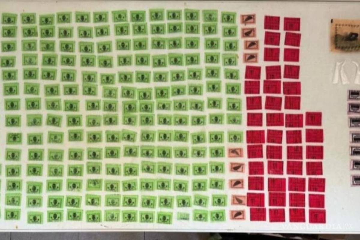 Realizan Guardia Nacional y Ejército operativos en Mazatlán