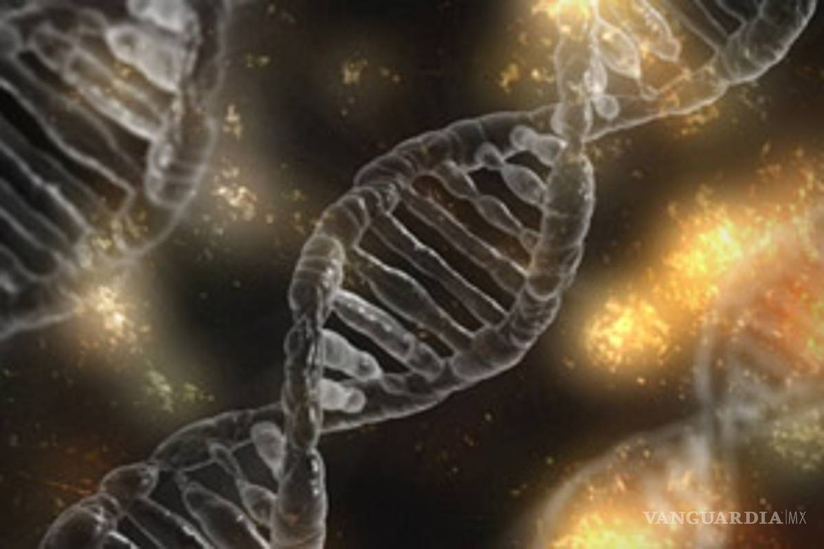 El mexicano presenta 536 genes asociados a la tendencia suicida